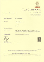 Test Certificate 1.pdf